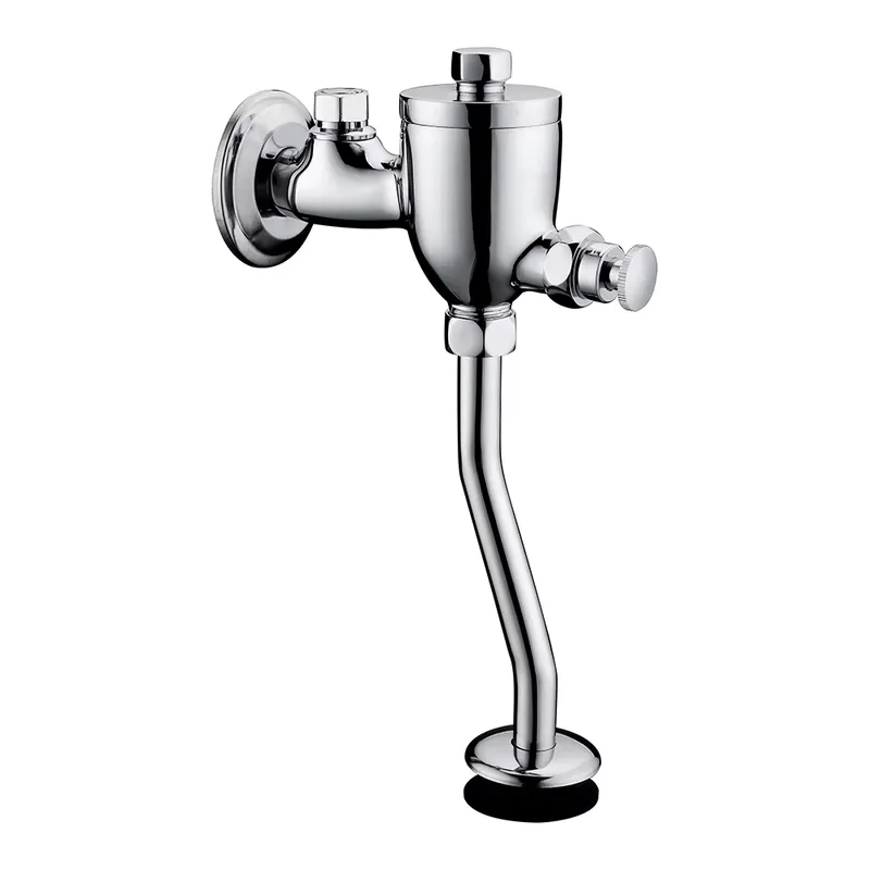 Modern Solid Brass Toilet Flus - Home Bathroom Fittings 评论和价格