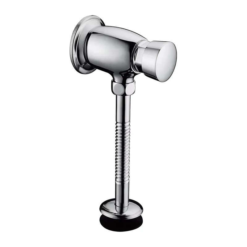 Modern Solid Brass Toilet Flus - Home Bathroom Fittings 评论和价格